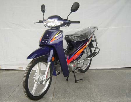 新阳光两轮摩托车 xyg110-4a