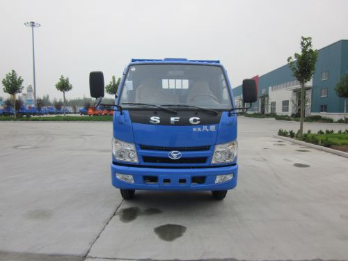 山东时风汽车，探索中国汽车工业的新篇章，山东时风汽车，探索中国汽车工业的新篇章