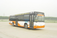 ͨпͳ ZK6120HG