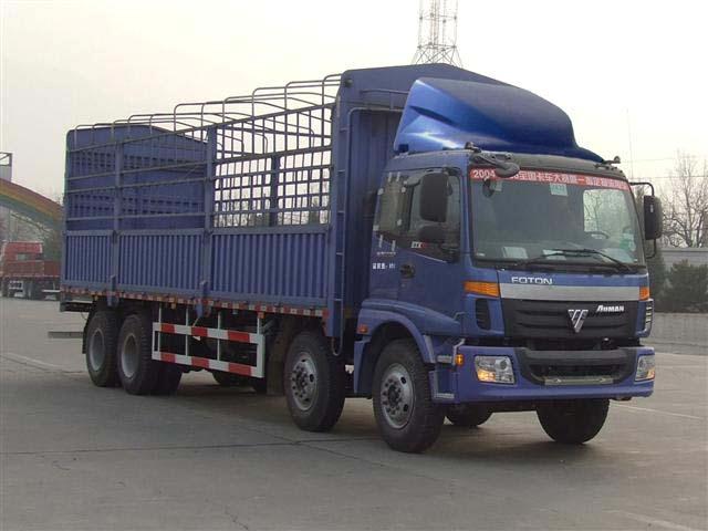 դʽ䳵 BJ5313VLCJJ-20