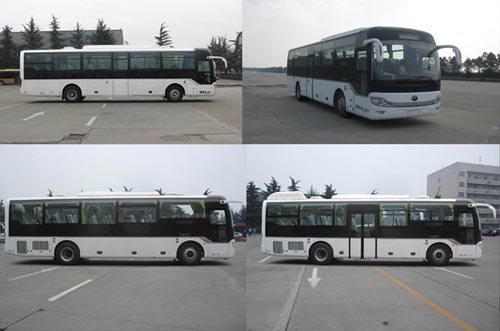 ͨͳ ZK6116HNA1Y