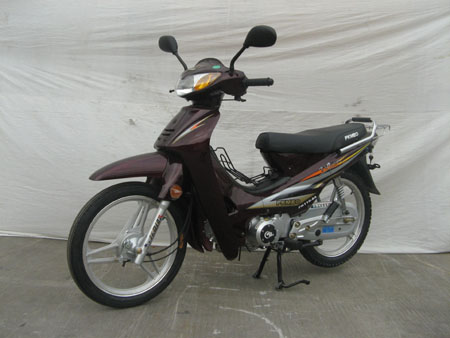 广州峰光摩托车图片图片