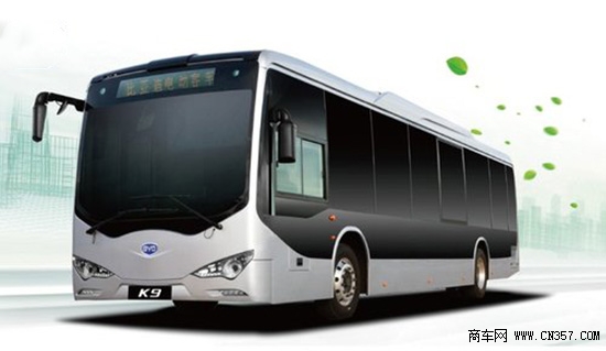 byd (1).jpg